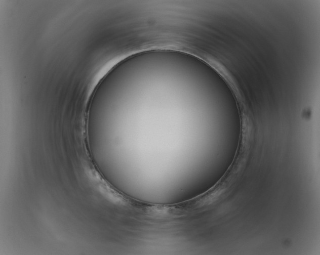 X0000111830956200907301316
