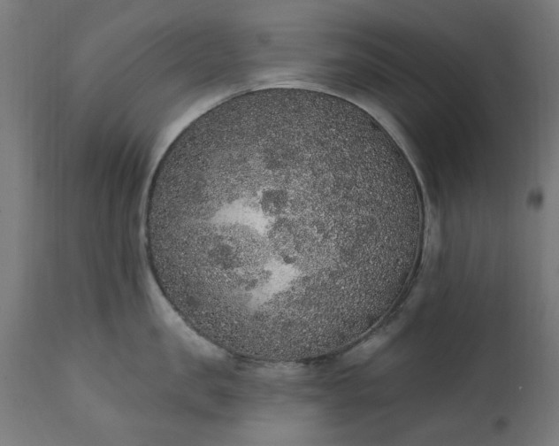 X0000111830957200907301316