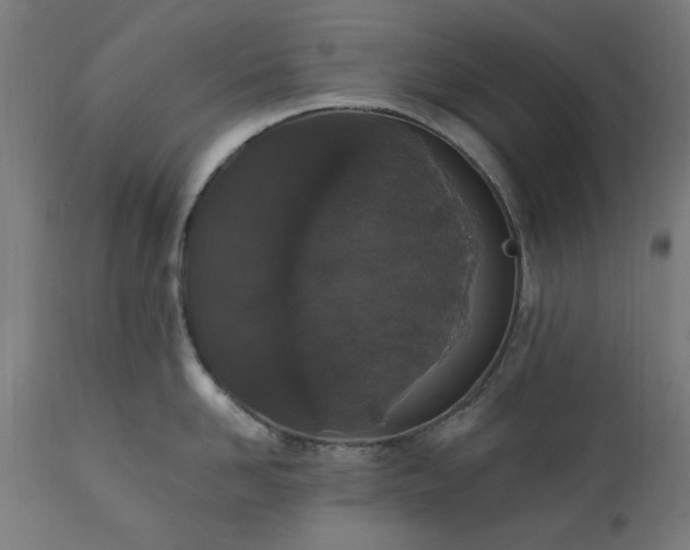 X0000111830958200907301316