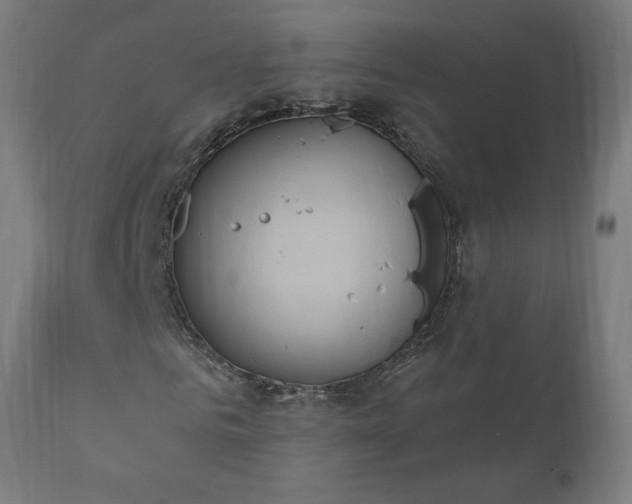 X0000111830961200907301316