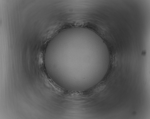 X0000111830962200907301316