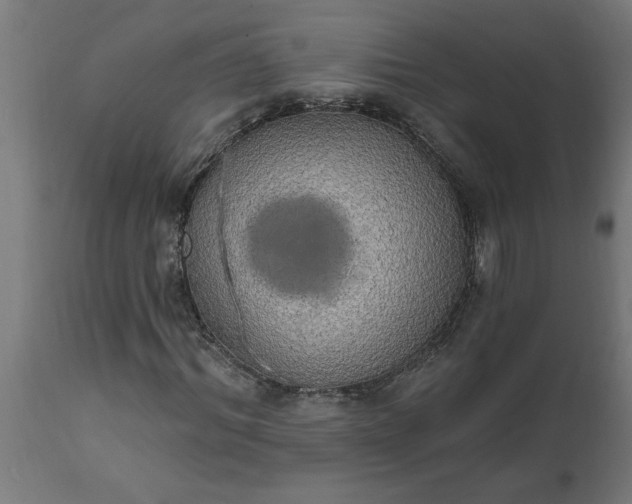 X0000111830964200907301316