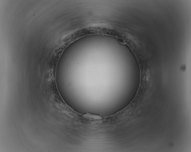 X0000111830965200907301316