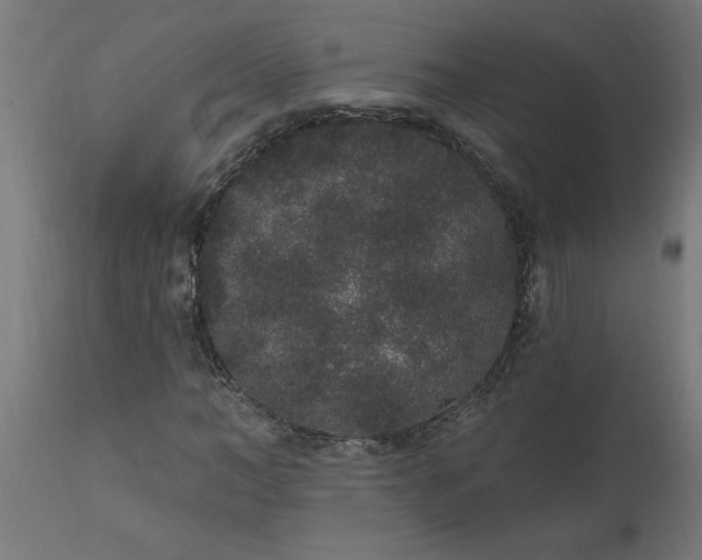 X0000111830966200907301316