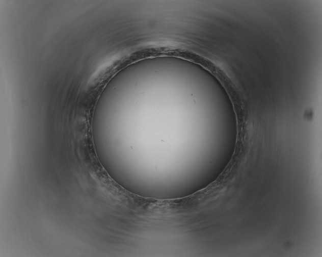X0000111830967200907301316