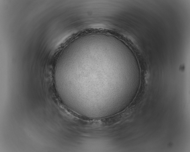 X0000111830968200907301316