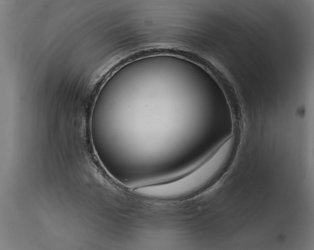 X0000111830969200907301316