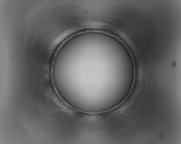 X0000111830970200907301316