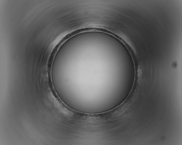 X0000111830972200907301316