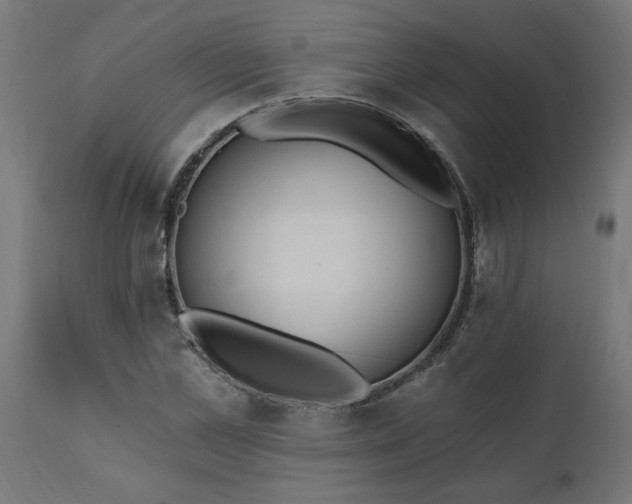 X0000111830973200907301316