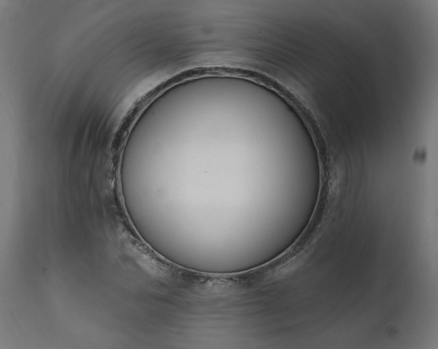 X0000111830974200907301316