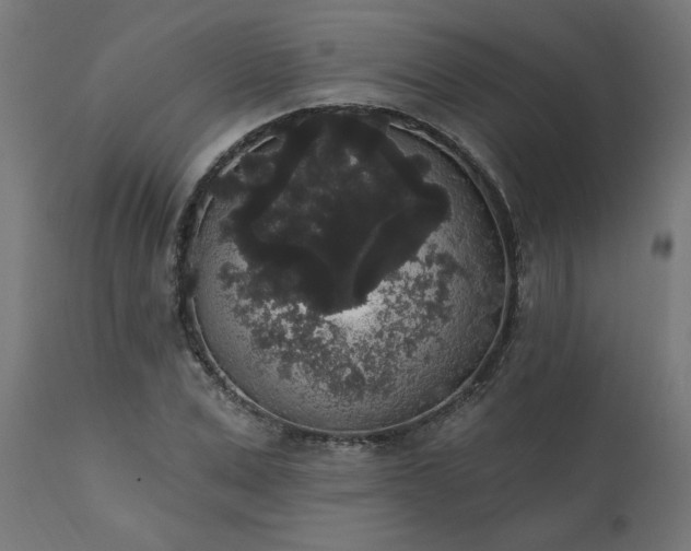 X0000111830975200907301316