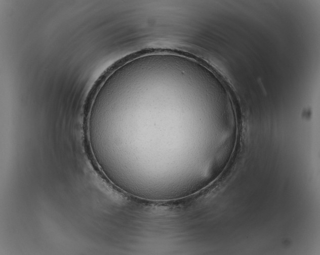 X0000111830976200907301316