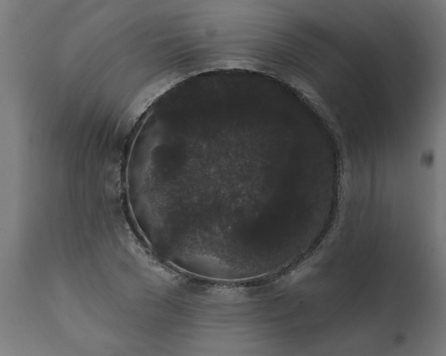X0000111830977200907301316