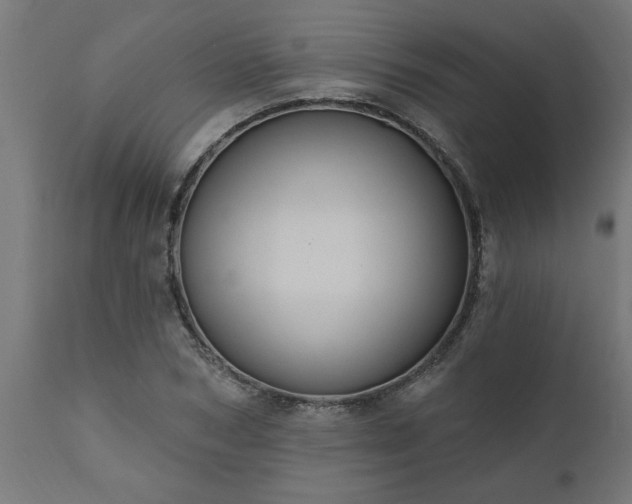 X0000111830978200907301316