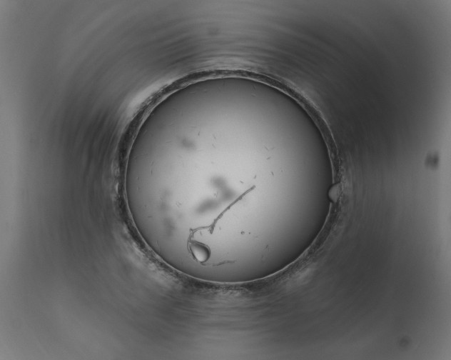 X0000111830979200907301316