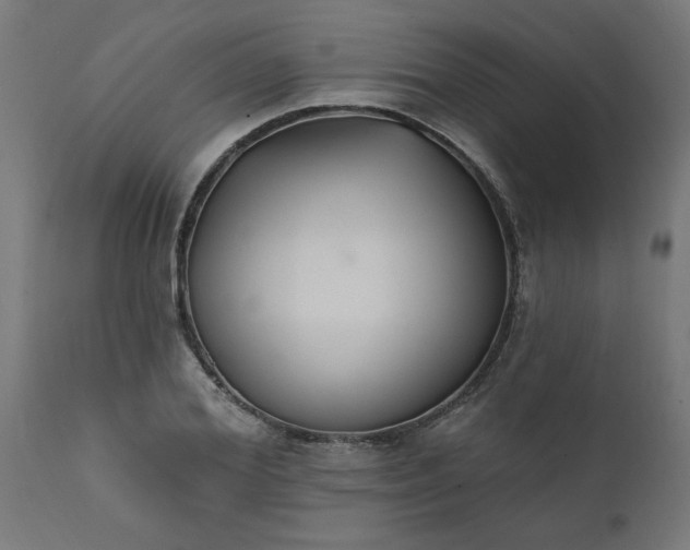 X0000111830980200907301316