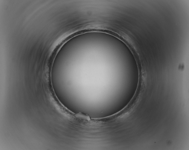X0000111830981200907301316