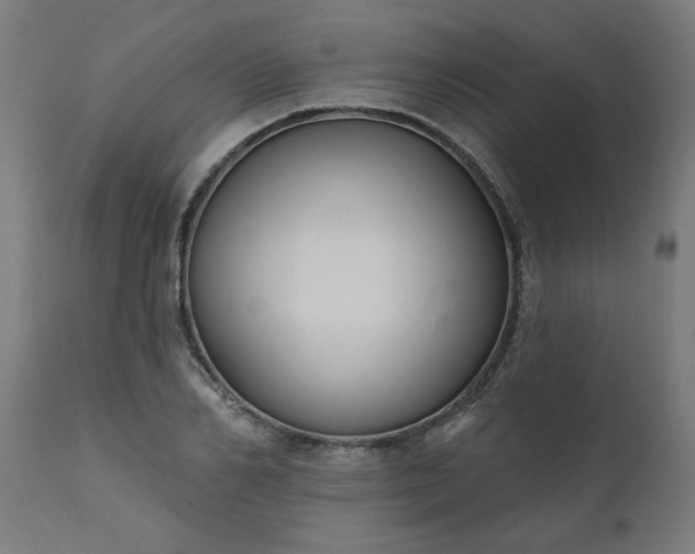 X0000111830982200907301316
