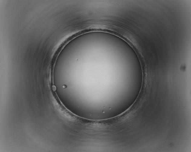 X0000111830984200907301316