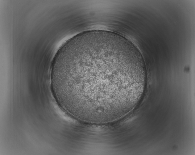 X0000111830987200907301315