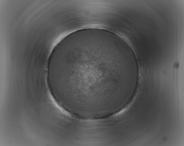 X0000111830989200907301315