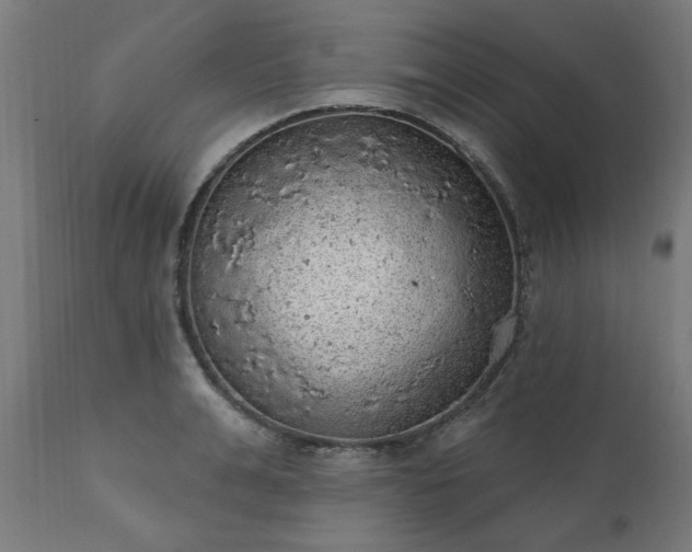 X0000111830991200907301315