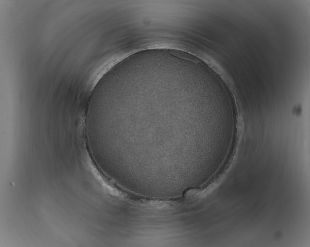 X0000111830993200907301315