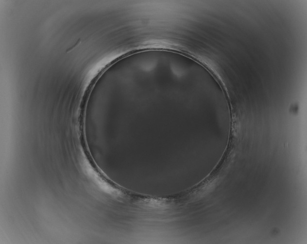 X0000111830995200907301315