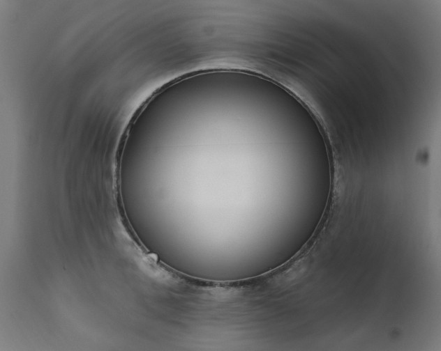 X0000111830996200907301315