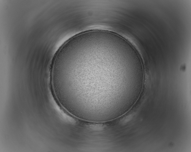 X0000111830999200907301315