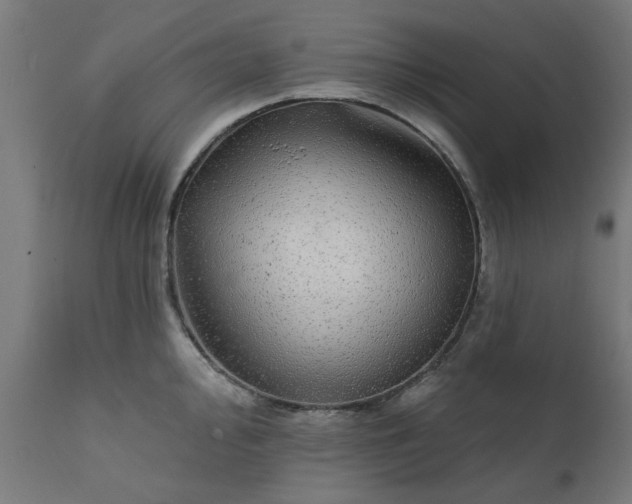 X0000111831000200907301315