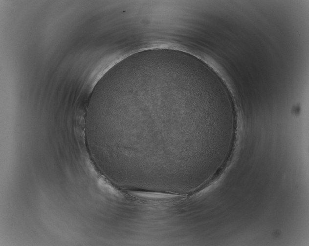 X0000111831001200907301315