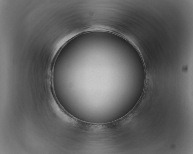 X0000111831003200907301315