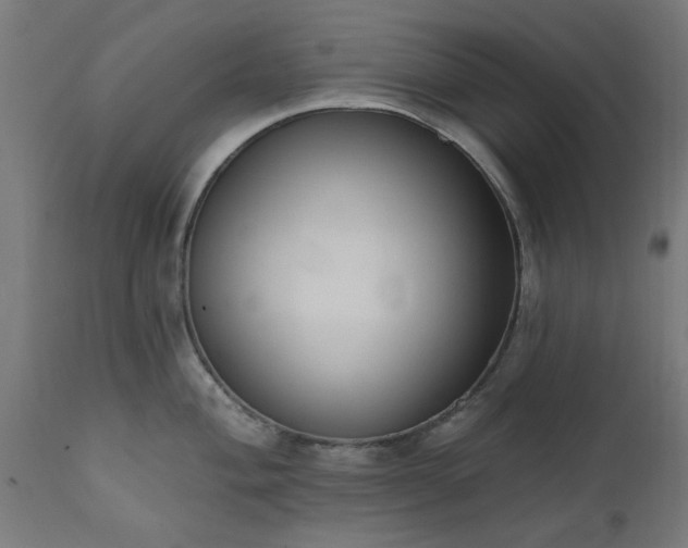 X0000111831004200907301315