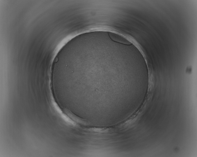 X0000111831005200907301315