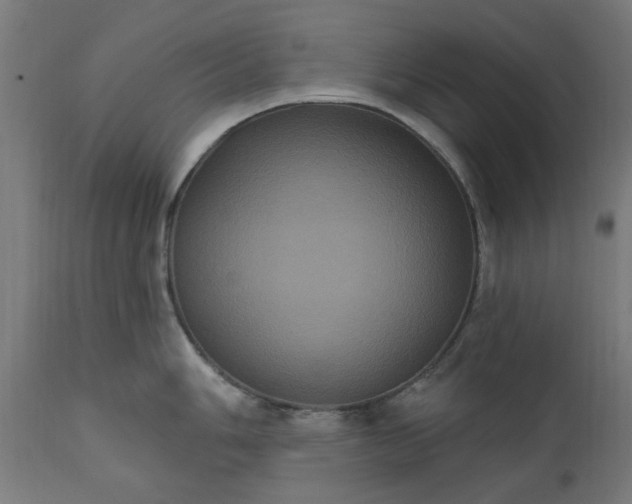 X0000111831006200907301315