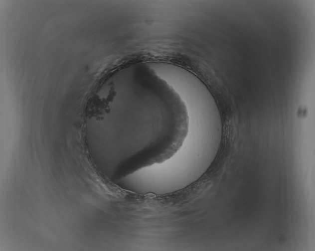 X0000111831009200907301314