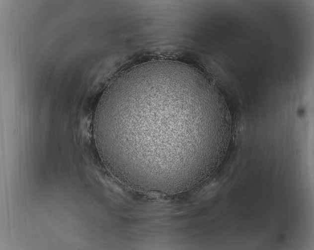 X0000111831010200907301314