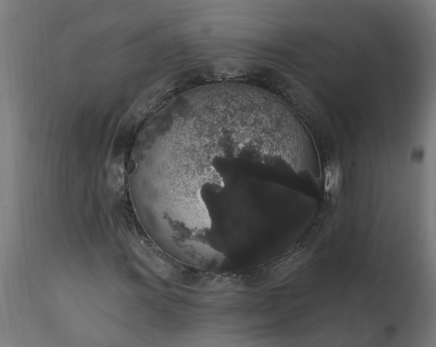 X0000111831011200907301314