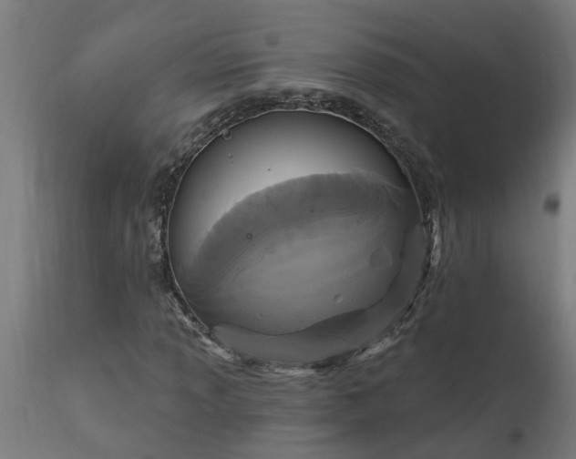 X0000111831013200907301314
