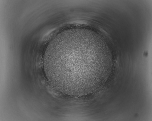 X0000111831014200907301314