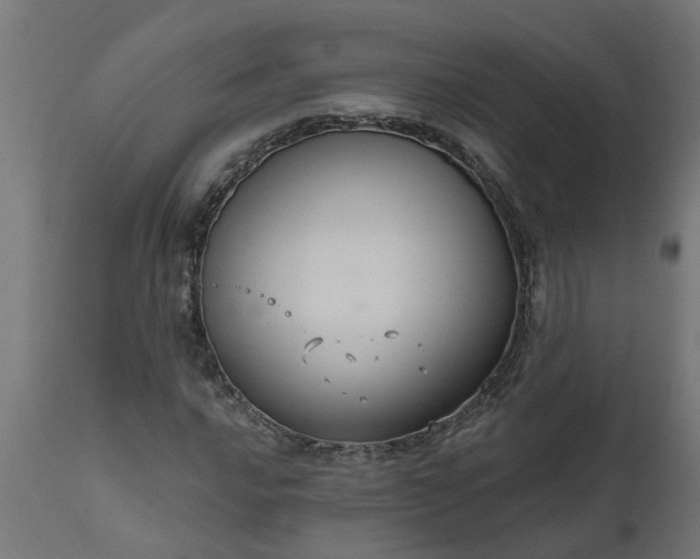 X0000111831016200907301314