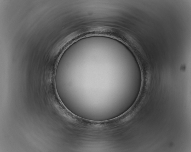 X0000111831017200907301314