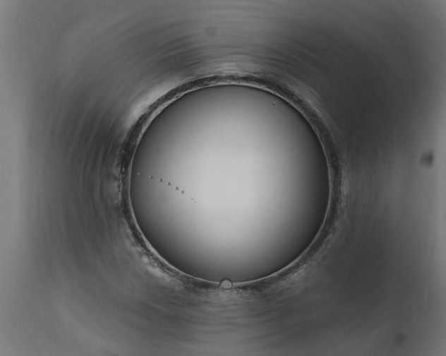 X0000111831018200907301314