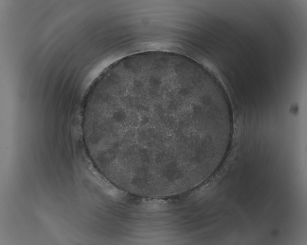 X0000111831019200907301315