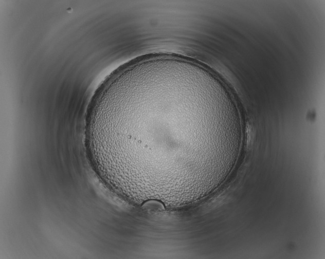 X0000111831020200907301315