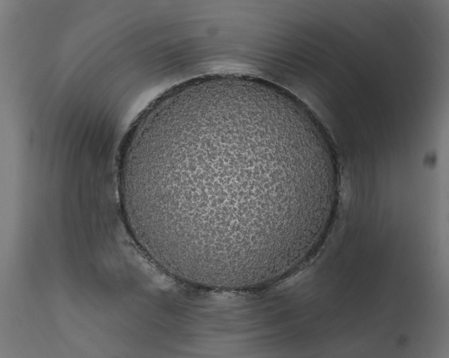 X0000111831022200907301315