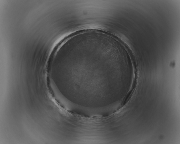 X0000111831024200907301315