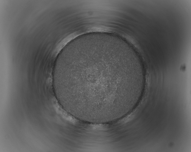 X0000111831025200907301315